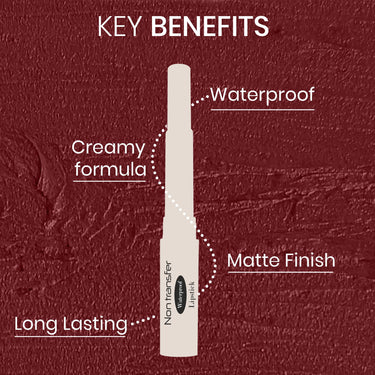 Beauty Berry Absolute Lips Matte Lipstick - 2.4g | Single Swipe Application, Smooth & Lightweight | Long Lasting, Transfer Proof & Waterproof for Women (Mehroon)